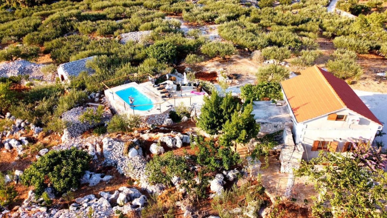 Villa Robinson Crusoe Style House "Maslina" Škrip Exterior foto